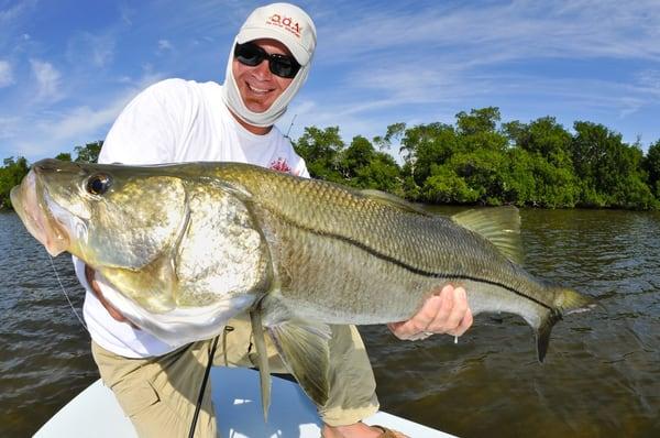 For photos of recent catches, check out my fishing report  on my web site.