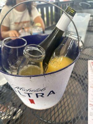 Mimosa bucket