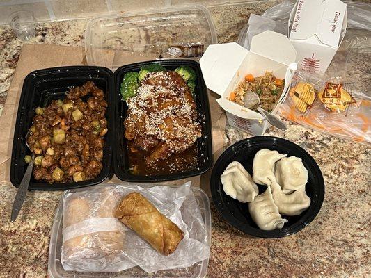 Chicken w/ Cashew Nuts, Sesame Beef, Fried Rice, Steamed Dumplings, and Egg Rolls