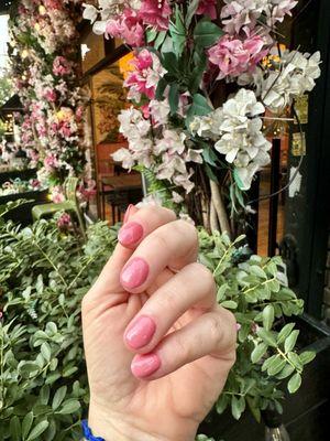 Dusty Rose nails