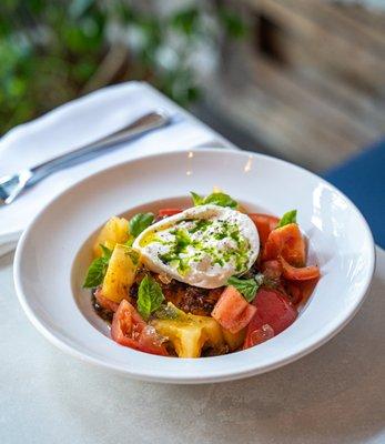 Heirloom Tomatoes & Burrata