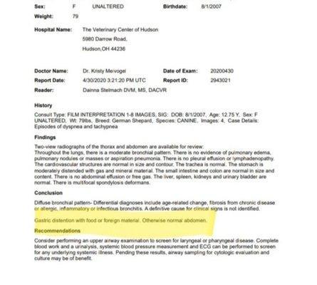 Radiology Report that confirms foreign material in her stomach.