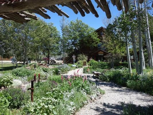 Most beautiful garden in Taos, hands down.