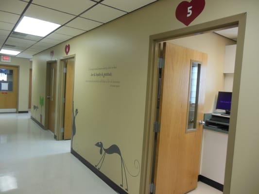 T.A.H. has 8 patient rooms as well as a laboratory, pharmacy and surgical room.