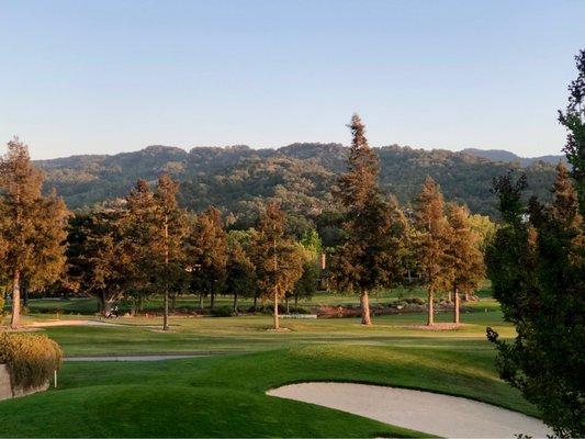 Golden Hour on the Greens