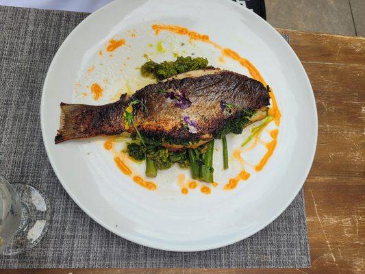 Mediterranean Branzino Fish