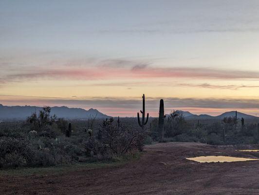 Tonto park