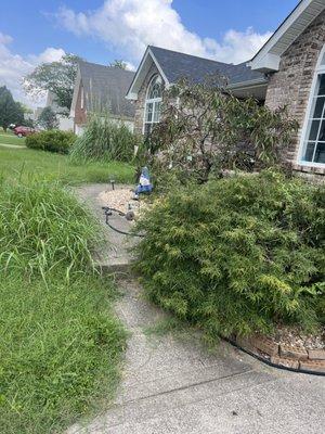 Gray Way Mowing and Home Repairs