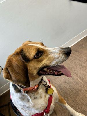 He's waiting "impatiently" for the doctor!