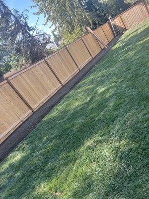 New sod and fence installation