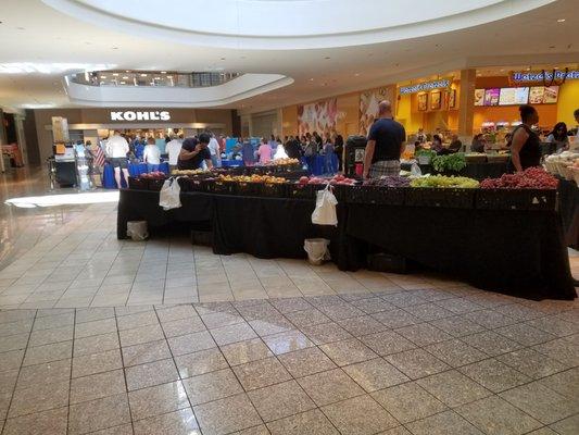 Early Voting was literally healthy in the Galleria Mall with a Farmer's Market in the shadow of the early voting site.