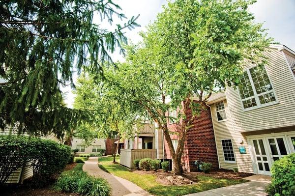 Meandering sidewalks, white birch trees, perennials, bushes and green space surround your apartment home.