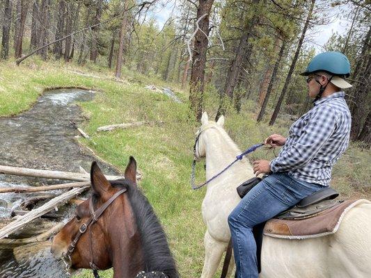 Wilderness Horse Adventures