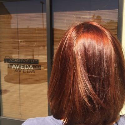 Color by Kaylene