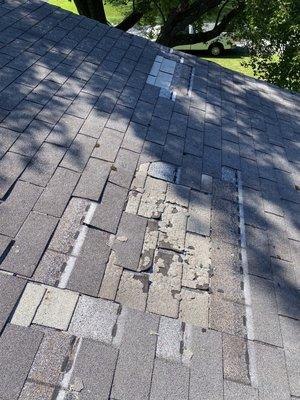 Severe Shingle Damage