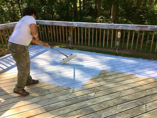 Deck Restoration