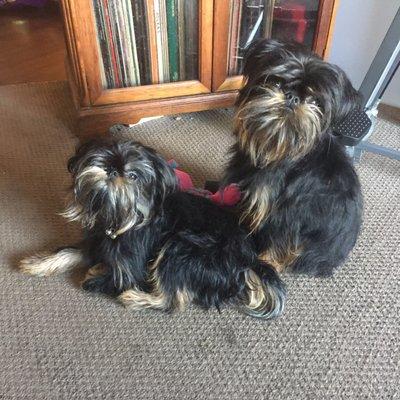 Aren't these boys adorable?  They really enjoyed their stay here while we vacationed on St Lucia.