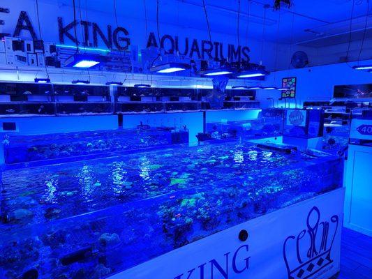 Sea King Aquariums