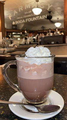 Hot Chocolate with fresh whipped cream