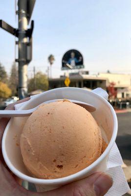 Gunther's Pumpkin Ice Cream