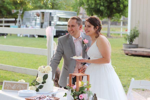 We selected the pink champagne cake with buttercream frosting in the Lines design.