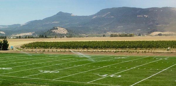 Regulation football and soccer field with goals.