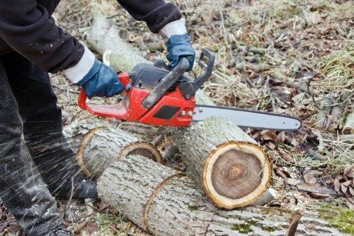 High Class Tree Service