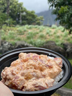 Dynamite ahi poke bowl