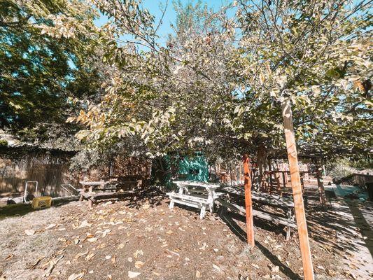 Kids use these tables as their jungle gyms as they walk all over them during recess.