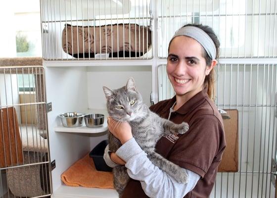 Eastpoint Pet Resort offers boarding for both dogs and cats.