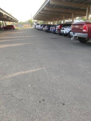 Pictures of employee's vehicles parked in the "patient" parking lot