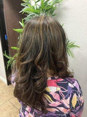 Highlights haircut blow dry