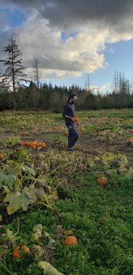 Walking in the pumpkin field at Ashley Creek Farm, late Oct. 2022.