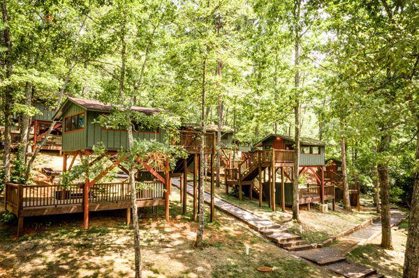 Lake View Treetop Cabins