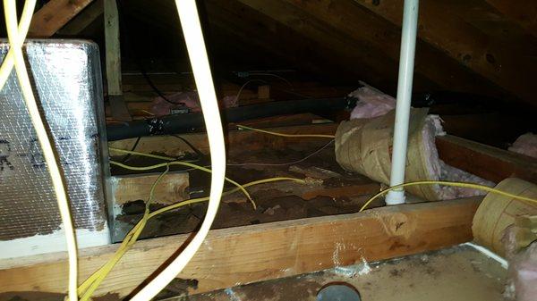 Older home that was being flipped.  Forgot the insulation in the attic.