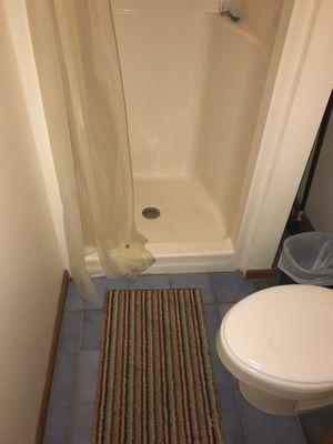 Disgusting shower area. $100