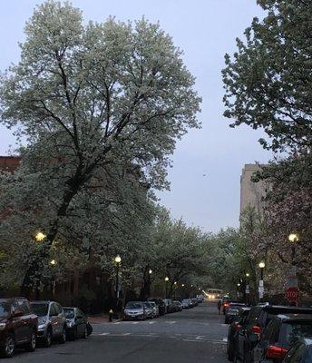 Mass Ave Lock