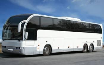 49, 56, 81 Passengers Buses / WiFi / Climate Control / Reclining Seats / Restroom / Video System