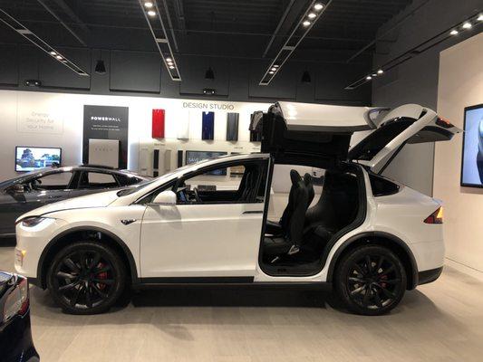 Model X 2019