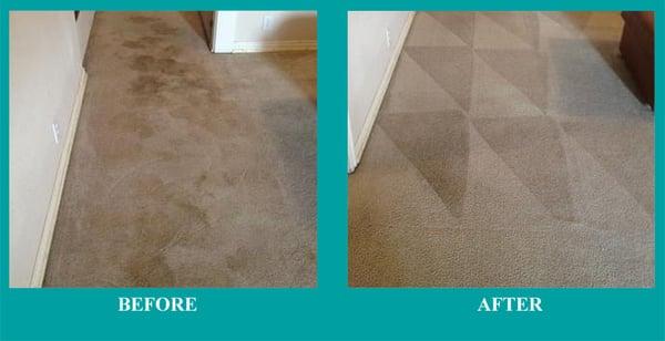 The Carpet Solutions - SLC Carpet Cleaning Professionals - Before and After