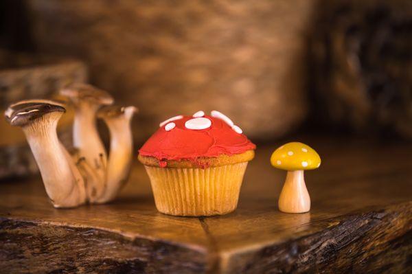 Custom mushroom cupcakes made by Sunflour!