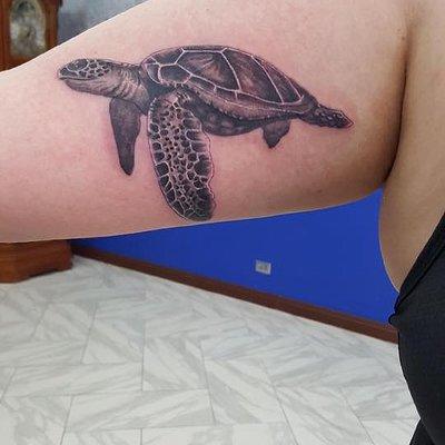 Realism Honu