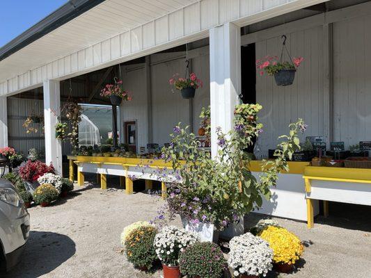 Bench Farms Farm Market and Greenhouse