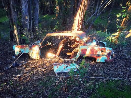 On the edge of the park, nature and machine collide beautifully.