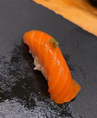 Salmon