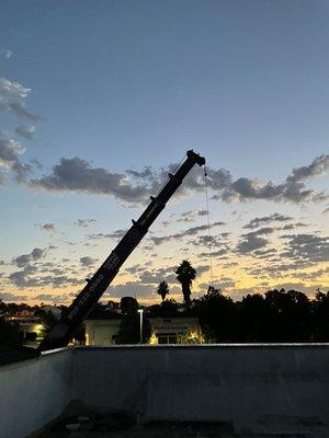 Great early morning crane set