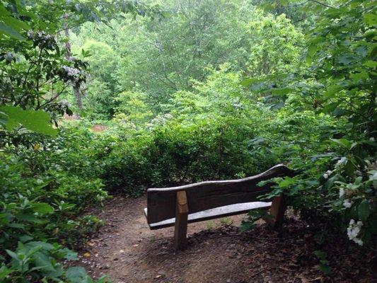 Bench overlooking the river