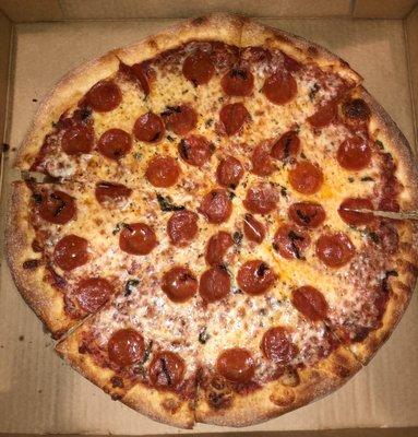 Large 16" pepperoni pizza