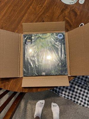 Perfectly packaged record with extra plastic sleeve over it