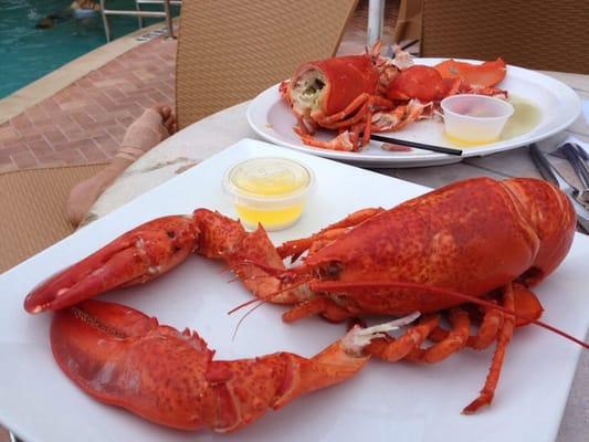 Here's a couple lobsters they served me... Awesome!